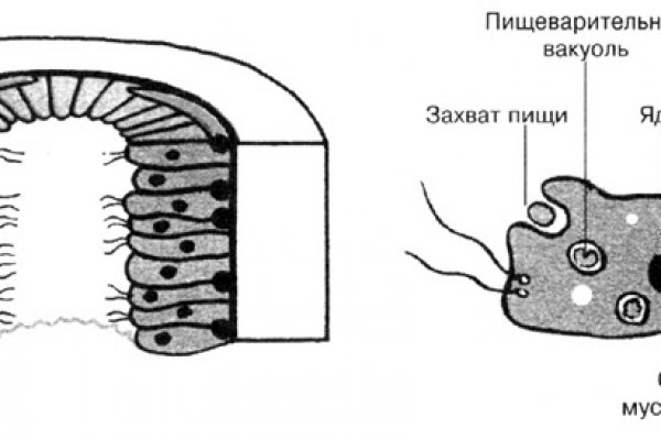 Ссылки кракен 2024