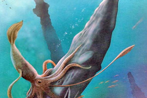 Сайт kraken зеркала