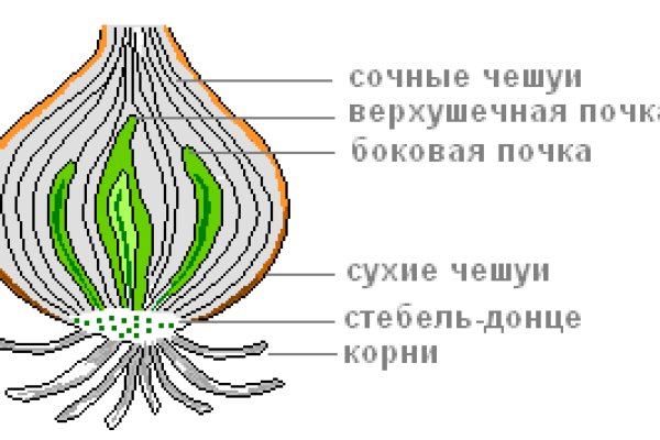 Kraken в россии